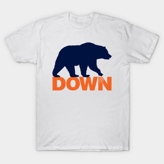 Bear DOWN T-Shirt by Kevinokev